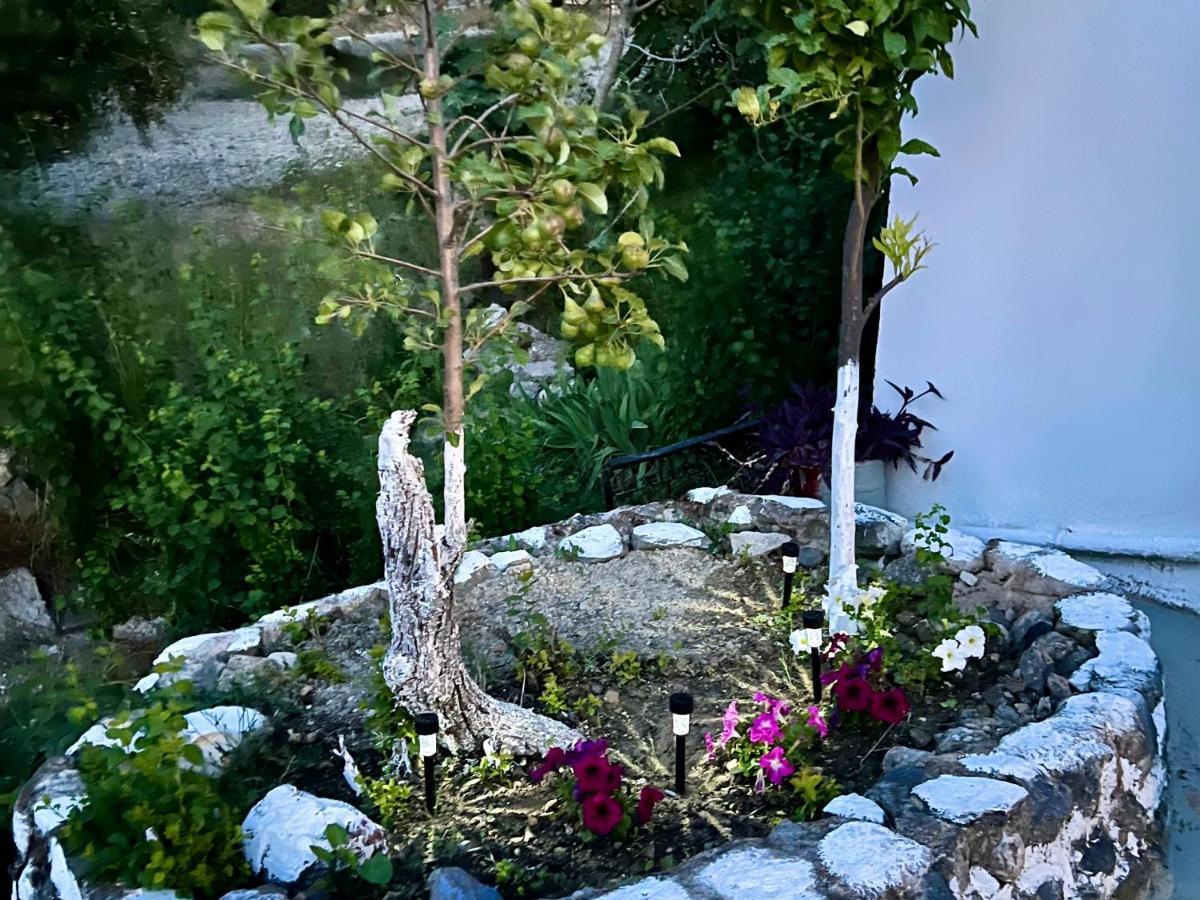 Greek House Tatiana Villa Kos By Eksteriør billede